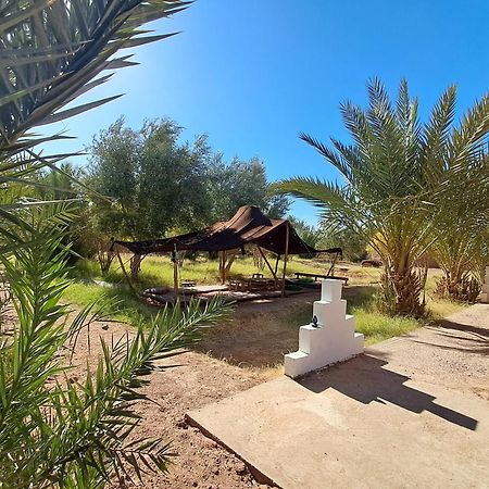 Jardin Du Desert M'Hamid El Ghizlane Exterior foto