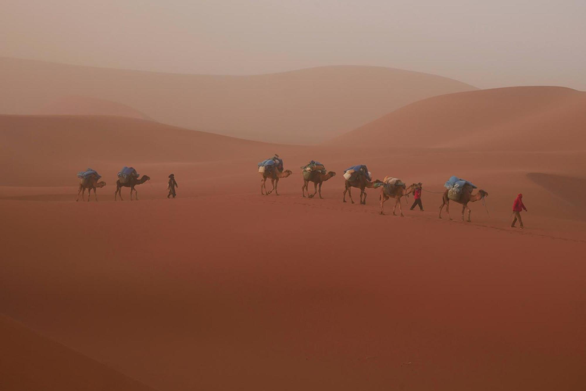 Jardin Du Desert M'Hamid El Ghizlane Exterior foto
