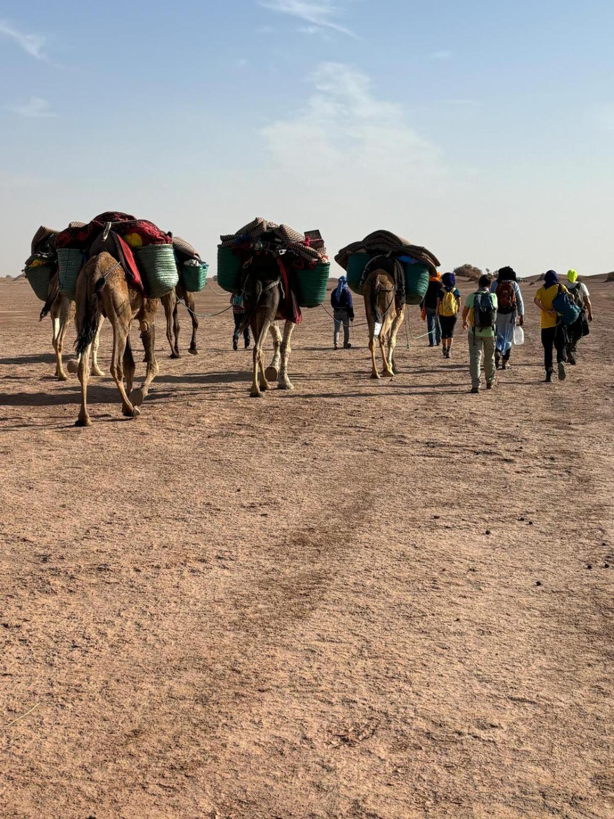 Jardin Du Desert M'Hamid El Ghizlane Exterior foto