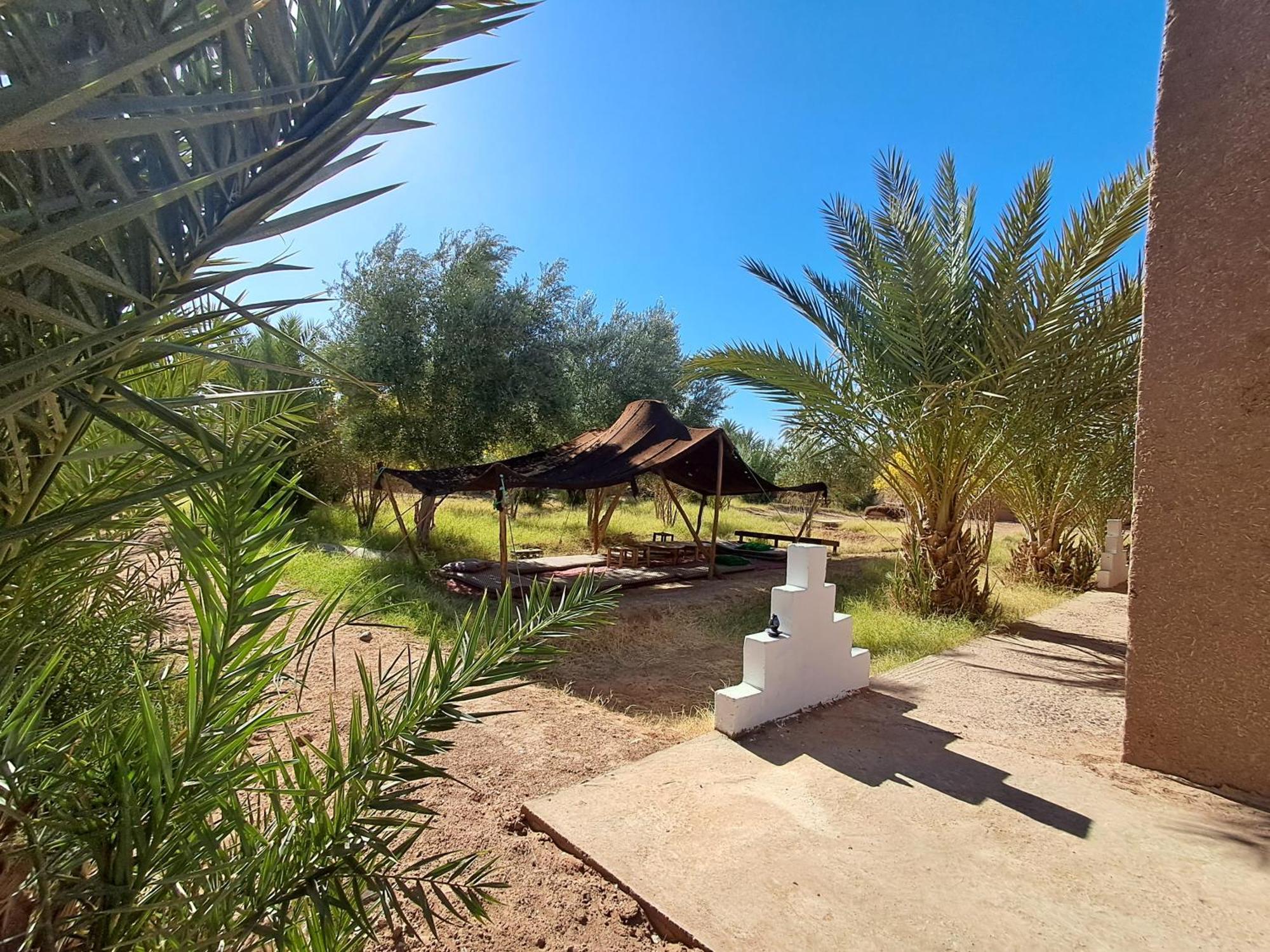 Jardin Du Desert M'Hamid El Ghizlane Exterior foto