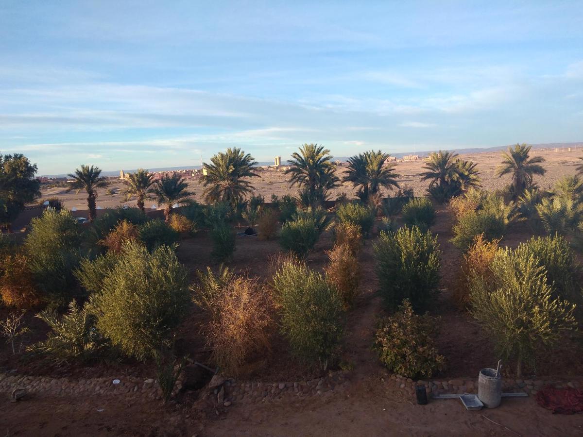 Jardin Du Desert M'Hamid El Ghizlane Exterior foto